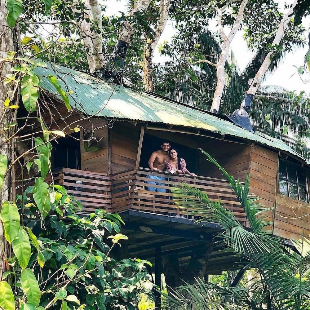 Tree House photo 2