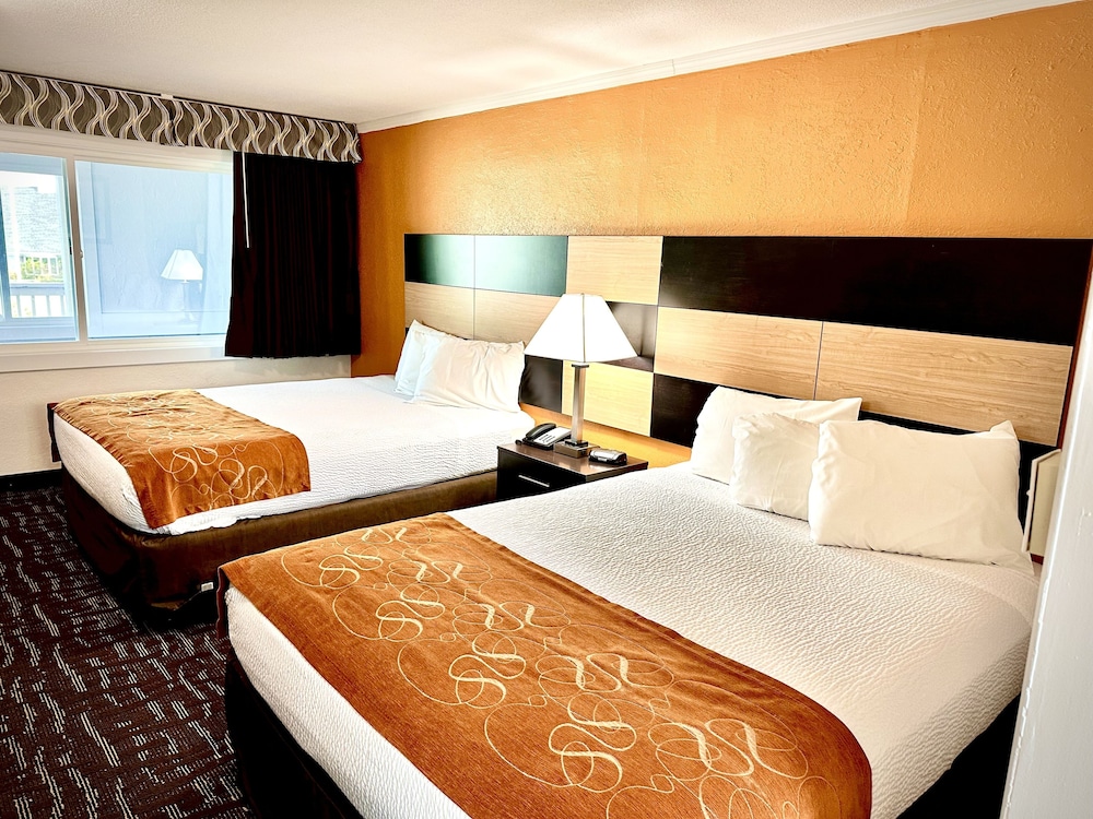 Standard Room (2 Beds) photo 2