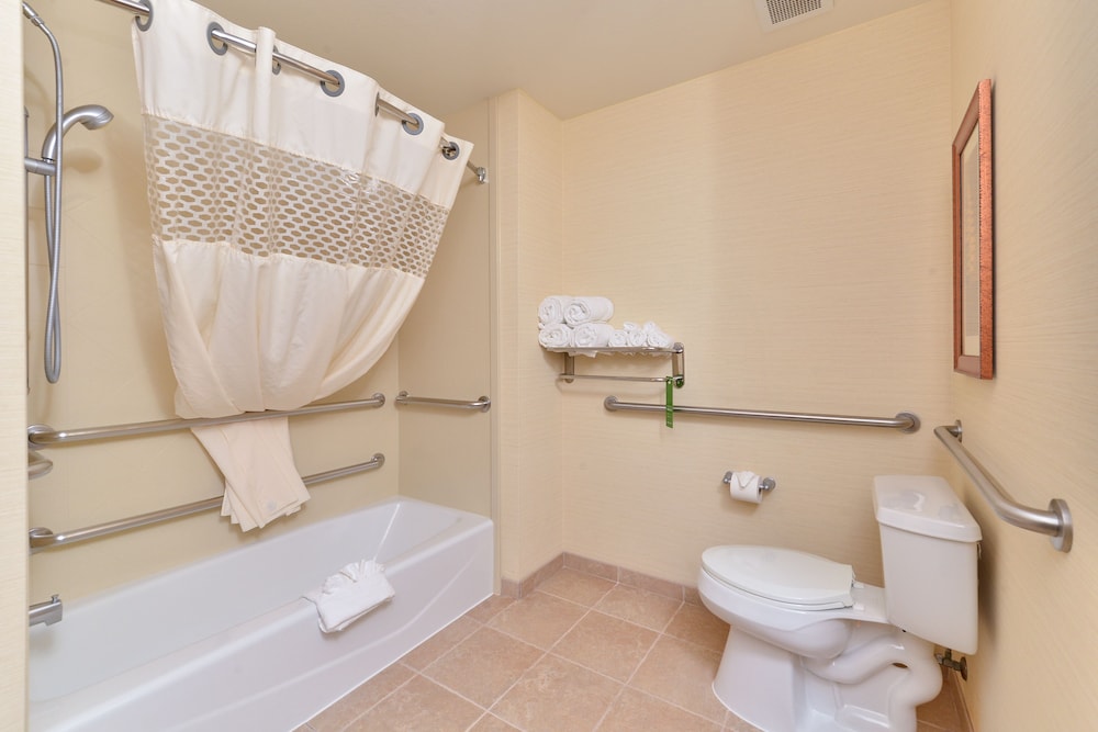 Studio, 1 King Bed, Accessible, Bathtub (Mobility & Hearing) - Photo 5