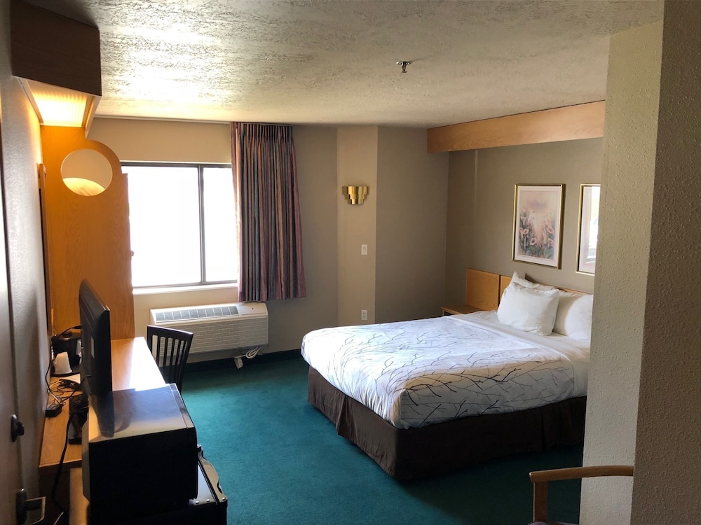 Standard Room, 1 Queen Bed, Accessible photo 1