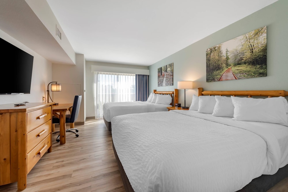 Suite, Multiple Beds, Non Smoking (Efficiency) photo 1