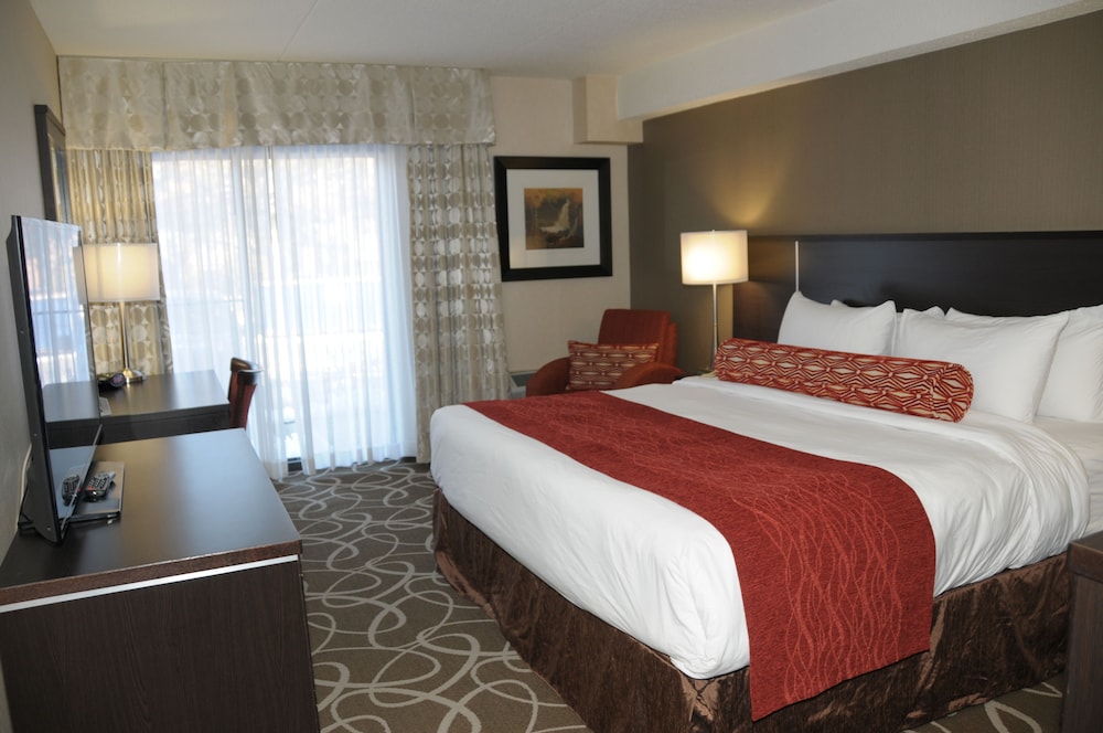 Room, 1 King Bed photo 1