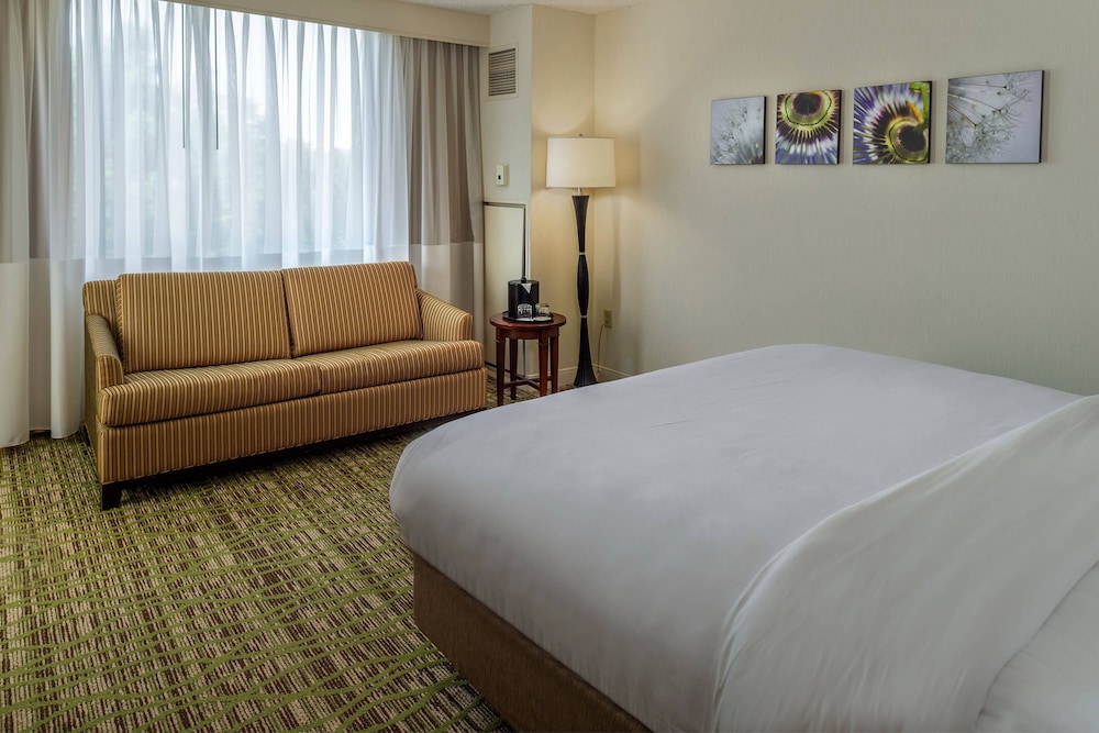 Executive Room, 1 King Bed with Sofa bed, Lake View - Photo 7