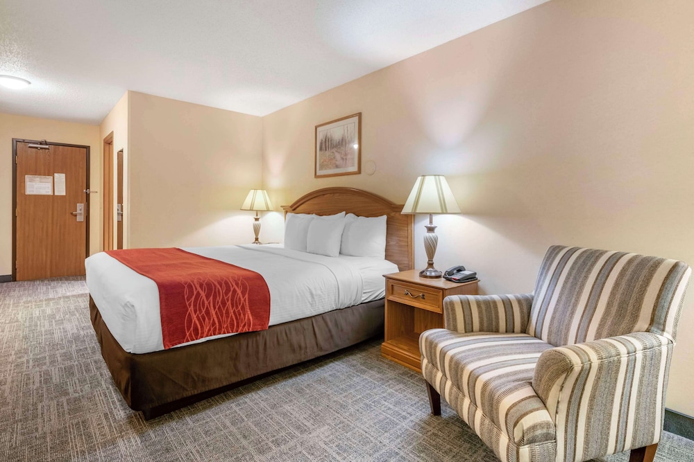 Standard Room, 1 King Bed, Accessible, Bathtub - Photo 2