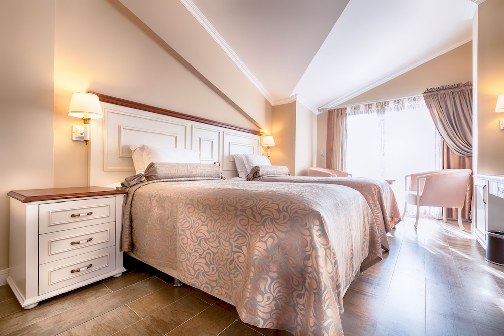 Superior Room (French Balcony) photo 2