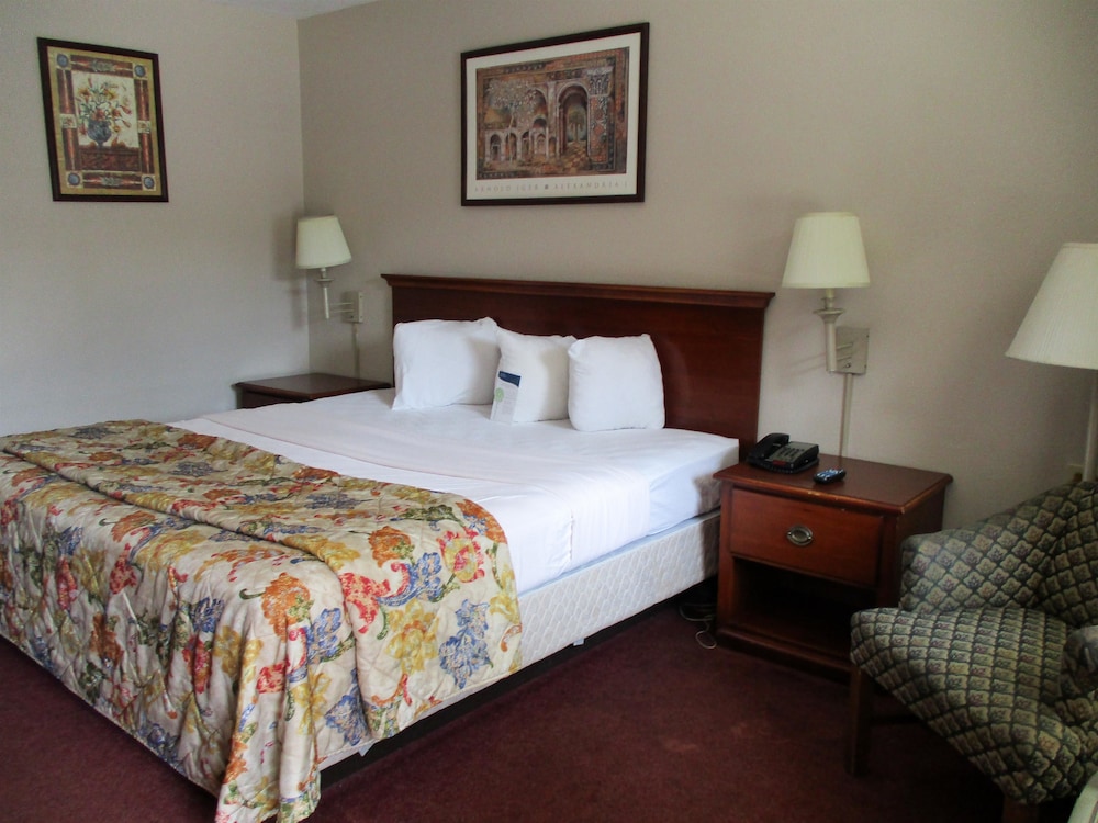 Standard Room, 1 King Bed, Roll-in Shower, Non Smoking