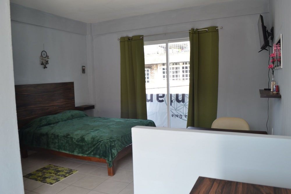 Basic Suite photo 1