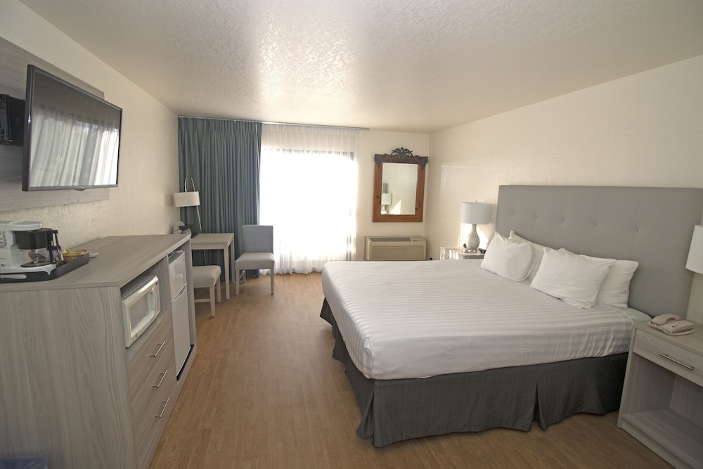 Standard Room, 1 King Bed, Partial Ocean View, Pet Friendly