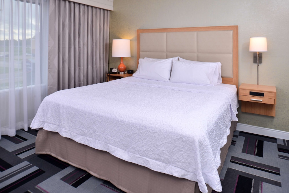 Studio, 1 King Bed, Accessible, Non Smoking photo 2