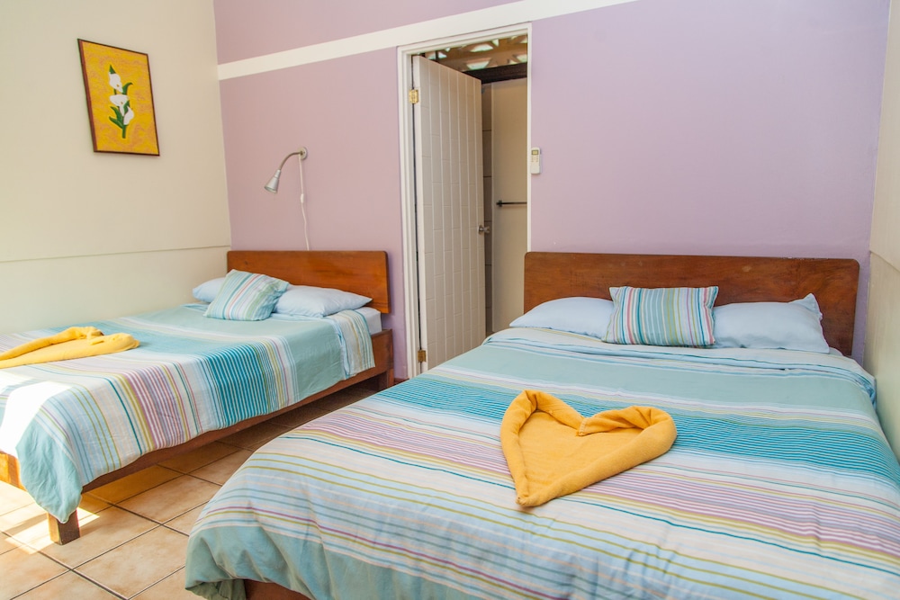 Standard Room, 2 Double Beds photo 1