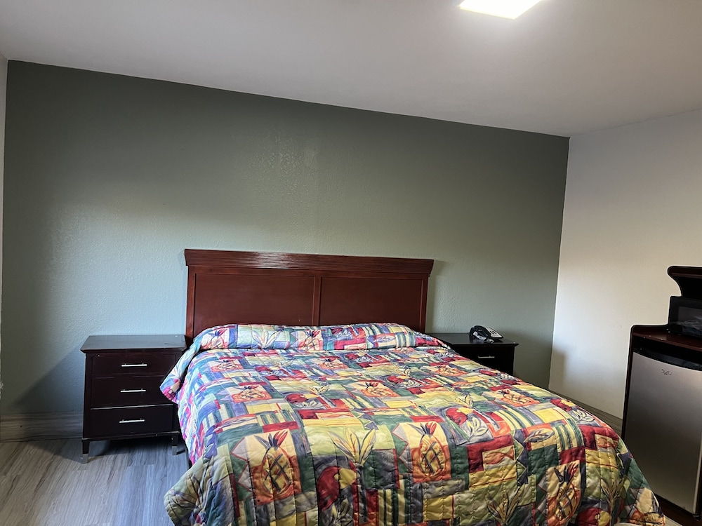 Basic Single Room photo 1