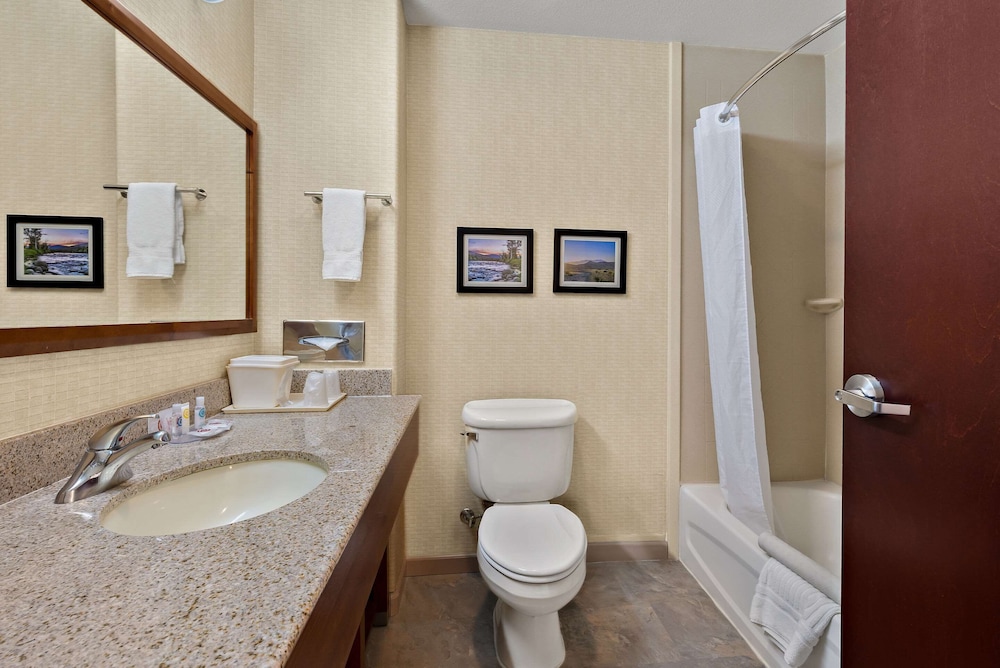 Comfort Inn & Suites Airport Convention Center, Foto 5
