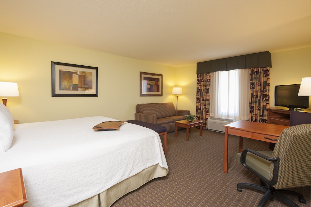 Room, 1 King Bed, Accessible, Non Smoking - Photo 3