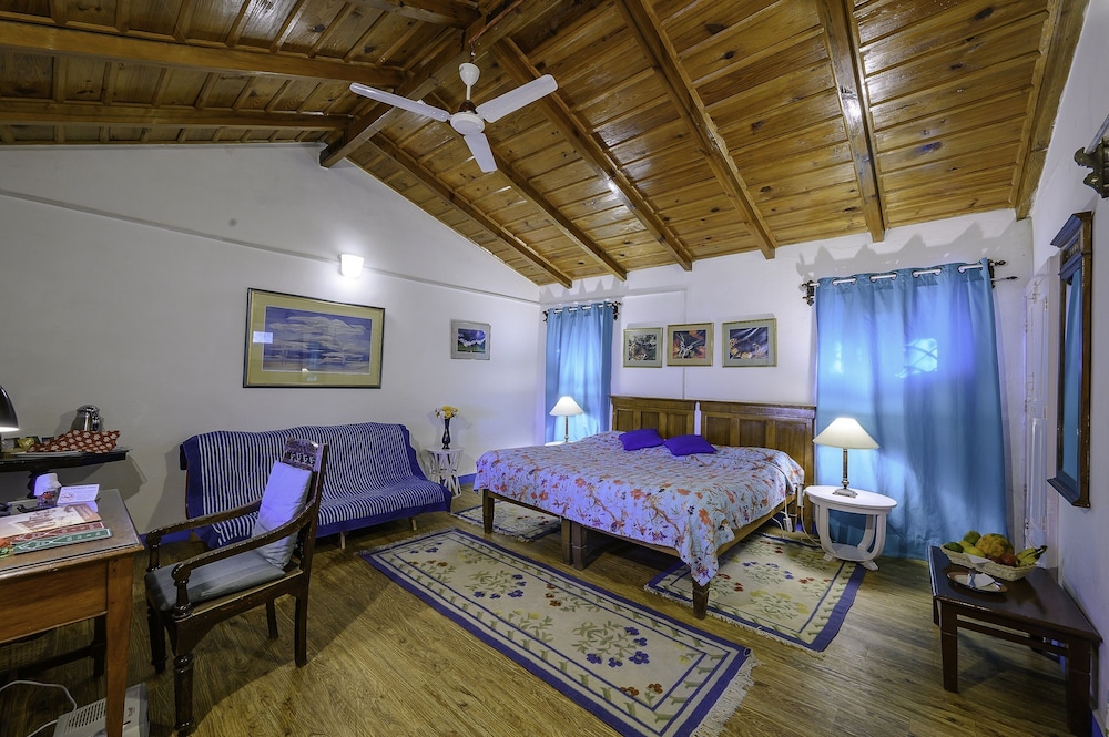 Comfort Room photo 2
