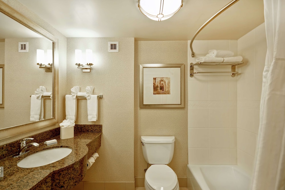 Room, 1 King Bed, Accessible - Photo 4
