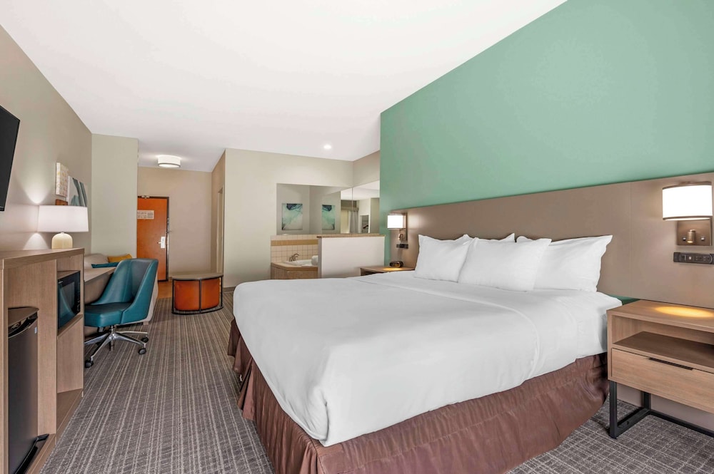 Suite, 1 King Bed with Sofa bed, Accessible, Non Smoking - Photo 1