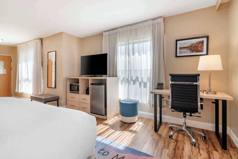 Room, 1 King Bed, Accessible, Non Smoking (Roll-In Shower) - Photo 3