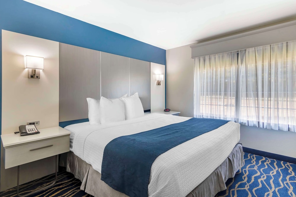 Suite, 1 King Bed, Non Smoking, Refrigerator & Microwave (Pet Friendly) - Photo 2