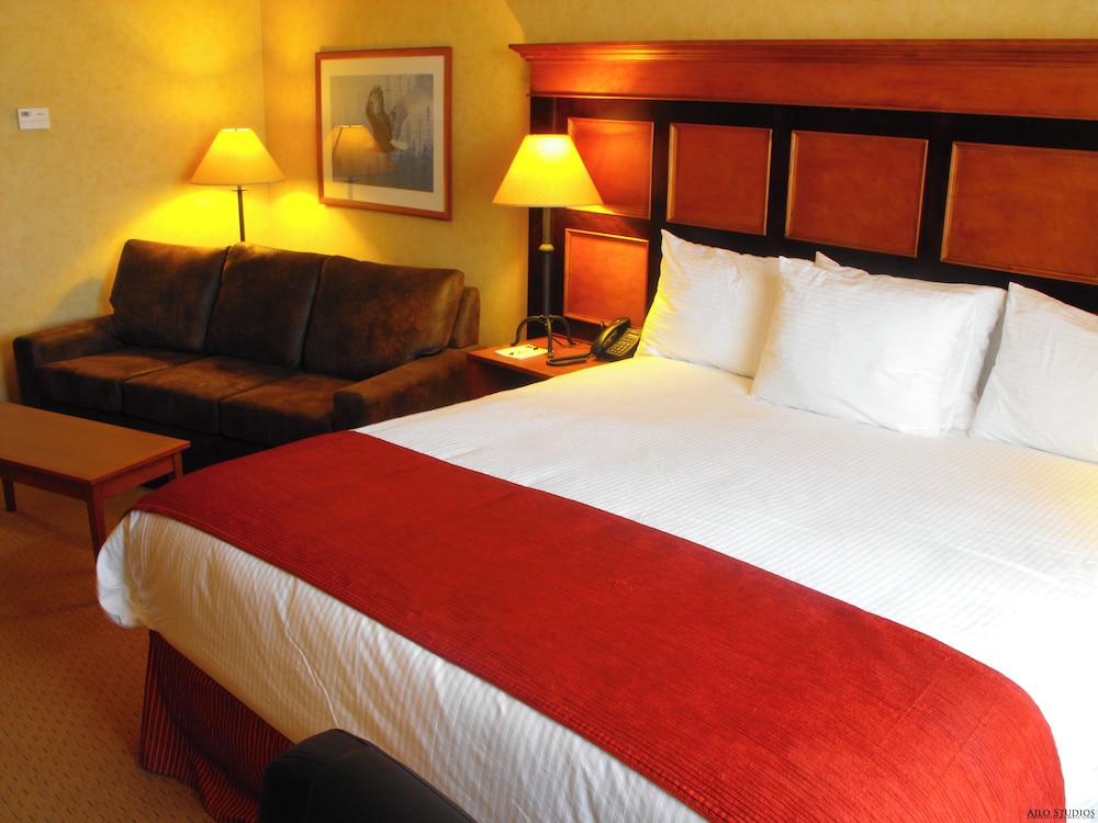 Deluxe Room, 1 King Bed, Mountain View (Deluxe Single King Room)