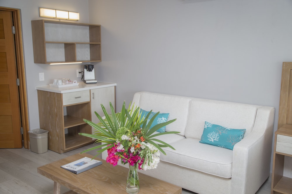 Junior Studio Suite, 1 King Bed with Sofa bed, Garden View photo 3