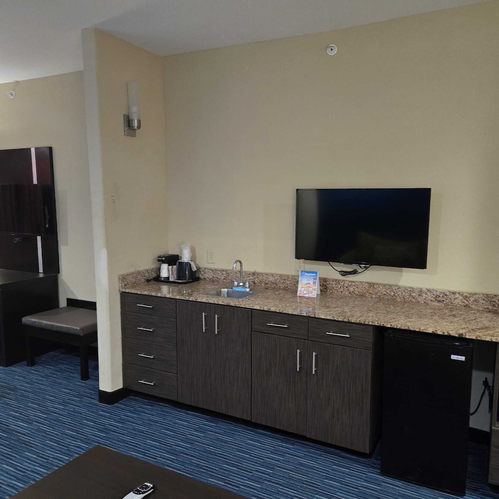 Basic Suite, 1 King Bed, Non Smoking photo 2