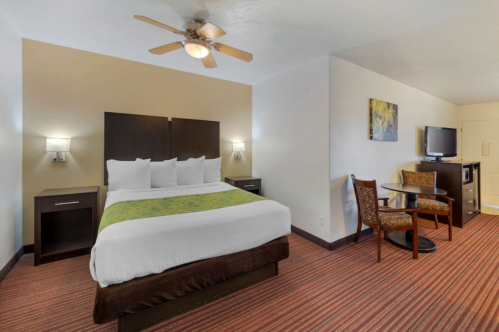 Suite, 2 Queen Beds, Non Smoking, Microwave (with Sofabed) photo 3