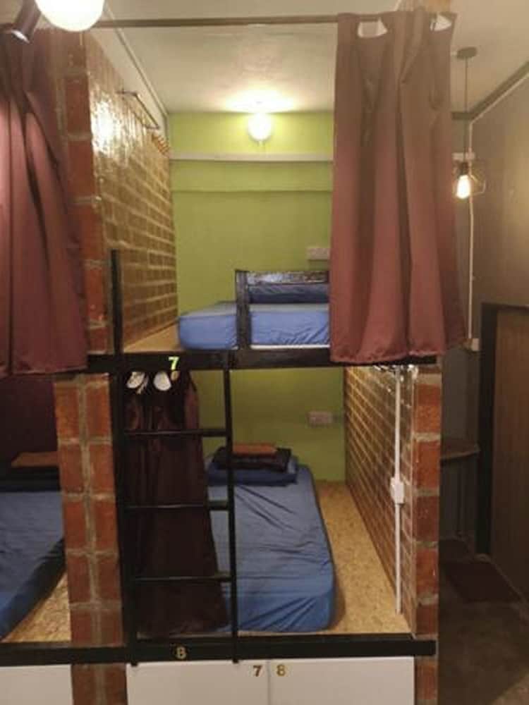 Standard Shared Dormitory photo 3