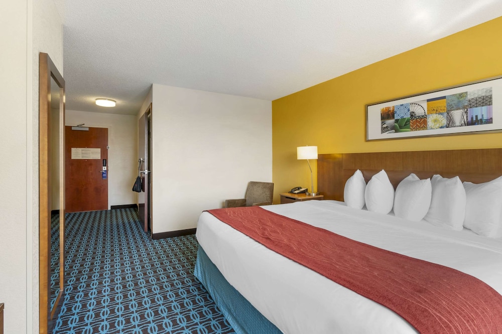 Standard Room, 1 King Bed, Non Smoking, Jetted Tub - Photo 2