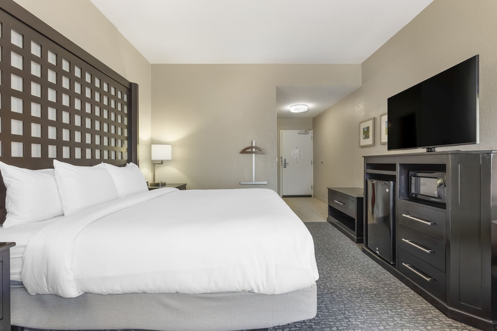 Standard Room, 1 King Bed, Non Smoking - Photo 8