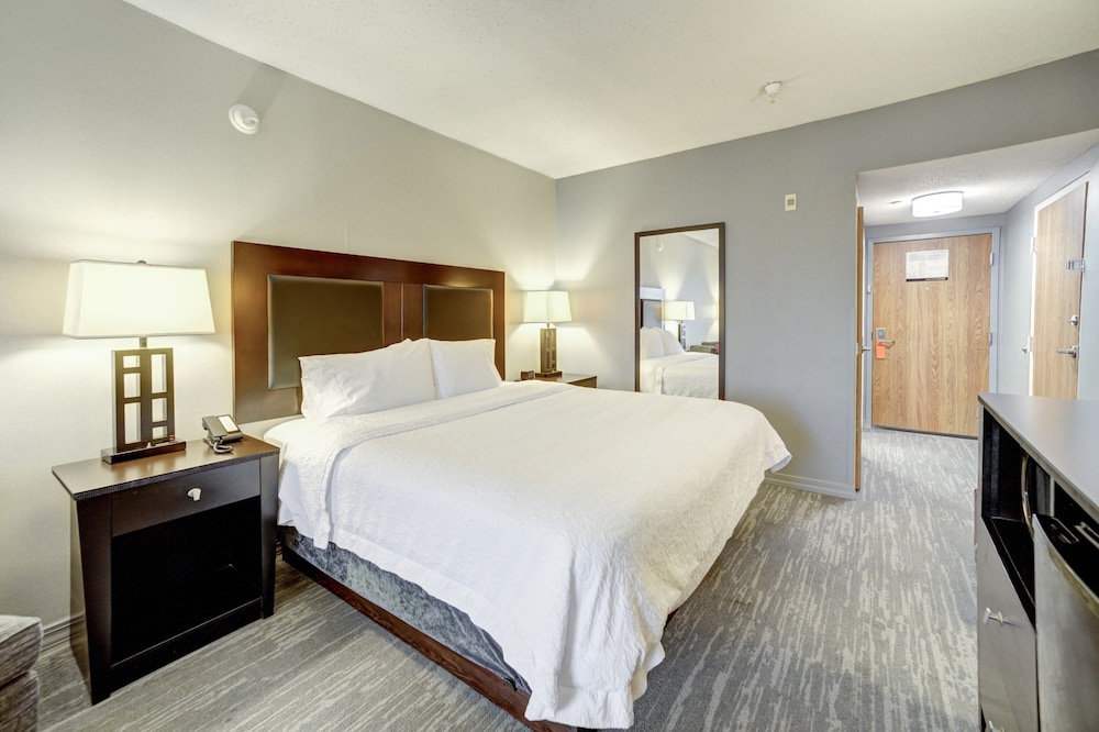 Room, 1 King Bed, Accessible, Non Smoking photo 2