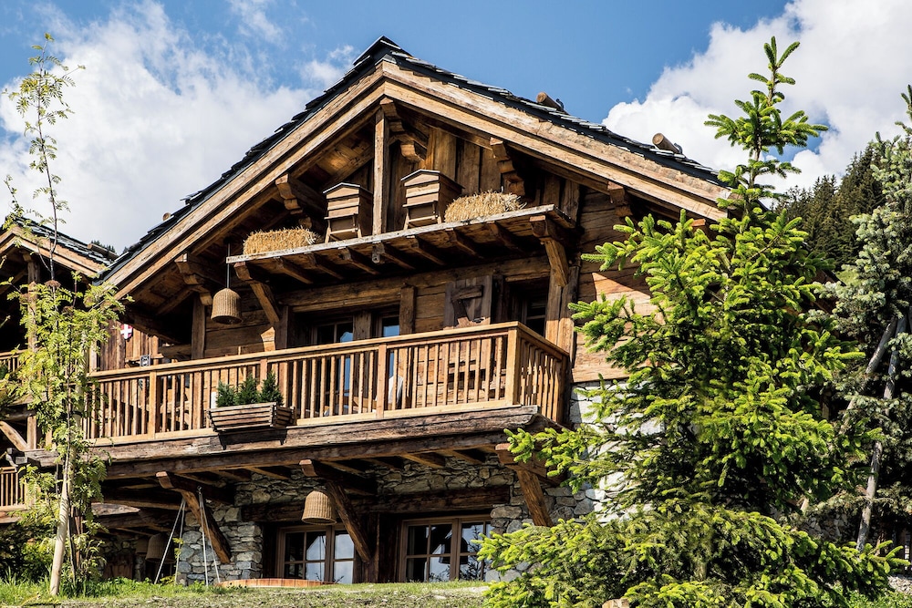 小木屋, 热水浴缸, 山景 (Edelweiss)