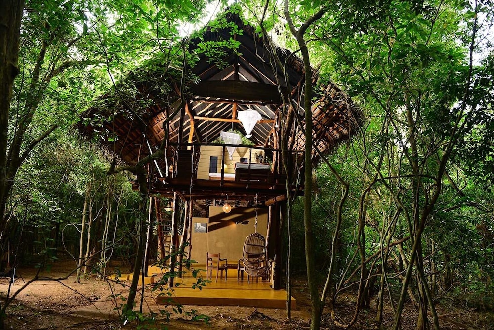 Tree House, Garden View photo 1