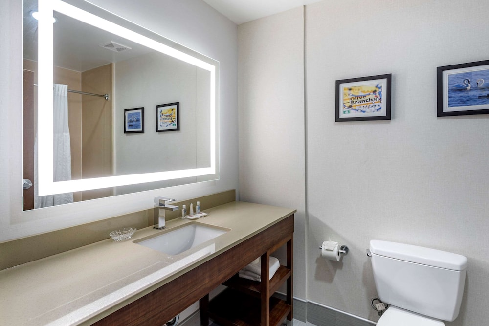 Suite, 1 Queen Bed with Sofa bed, Accessible, Non Smoking - Photo 6