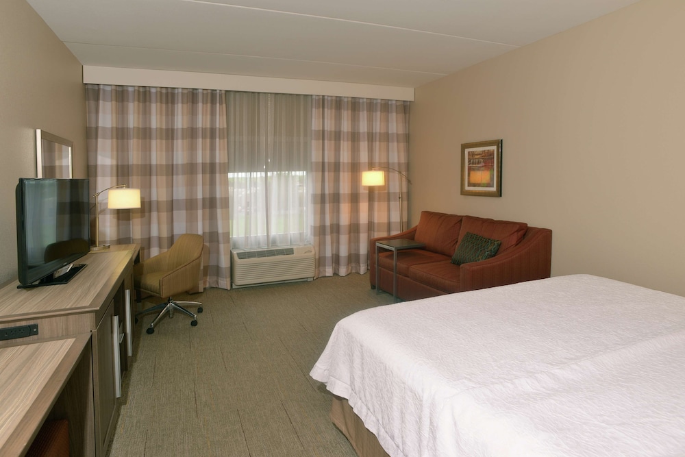 Room, 1 King Bed with Sofa bed, Refrigerator photo 2