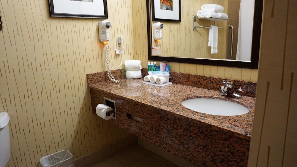 Suite, 1 King Bed with Sofa bed, Accessible (Mobility) - Photo 4