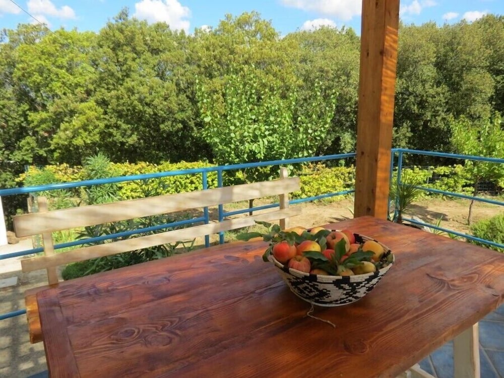 Domaine Taddore, Photo 5