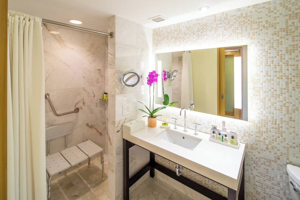Room, 1 King Bed, Roll-in Shower (Mobility)
