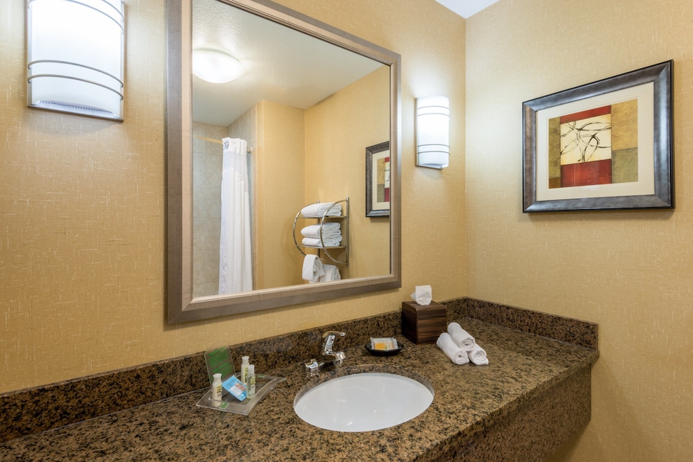 Suite, 1 Bedroom - Photo 5