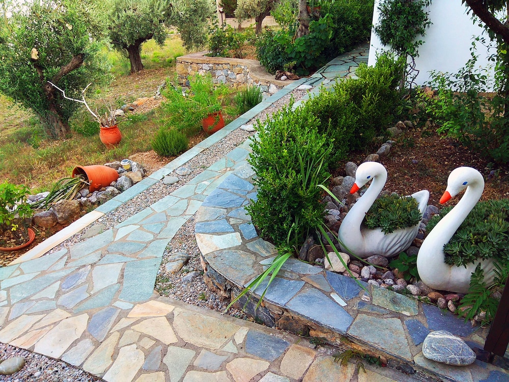 Basic House (Jasmine) photo 3