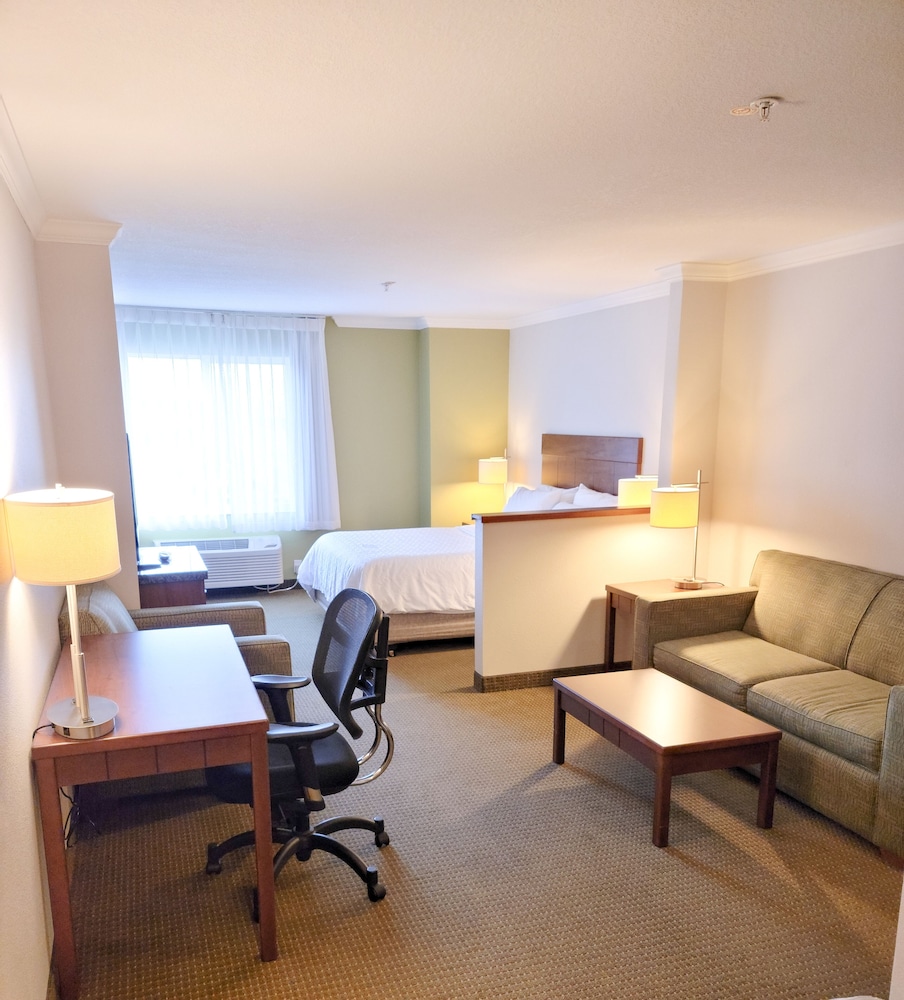 Suite, 1 King Bed (Living Area) - Photo 1