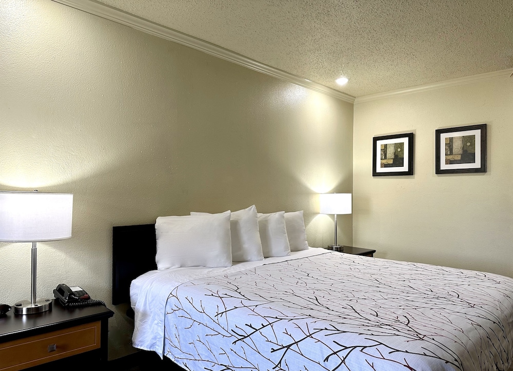 Standard Room, 1 King Bed, Smoking - Photo 2