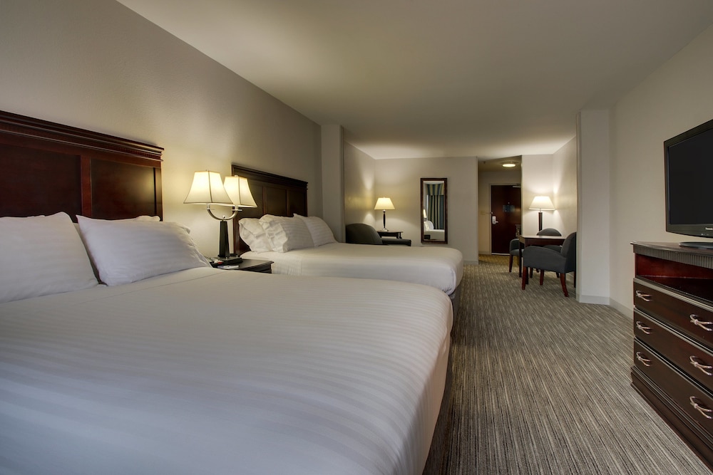 Suite, Multiple Beds photo 1