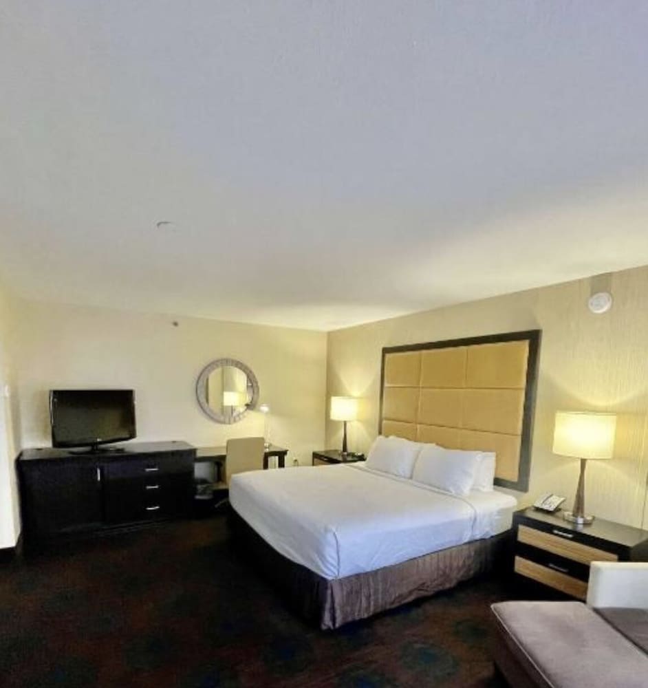 Executive Single Room, 1 King Bed, Non Smoking, Pool View photo 1