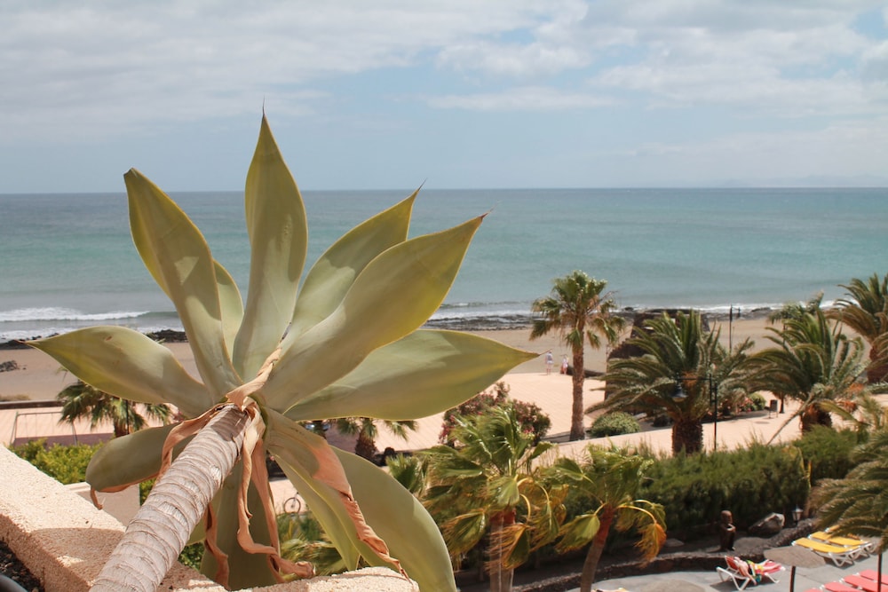 Standard Double Room Single Use, 2 Twin Beds, Sea View