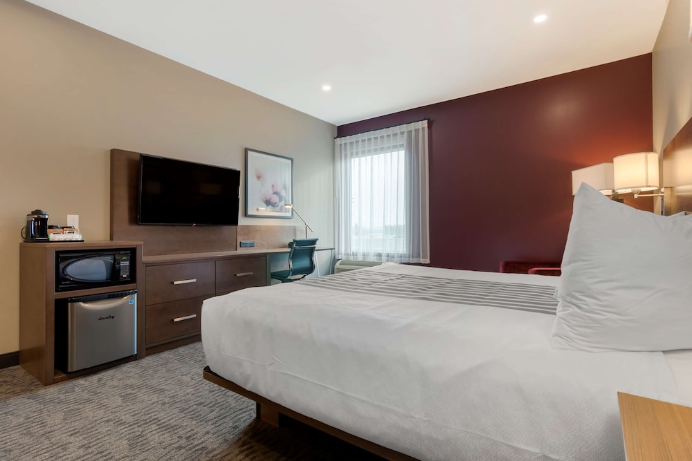 Standard Room, 1 King Bed, Accessible, Refrigerator & Microwave photo 3