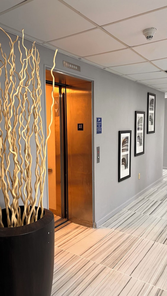 Suite photo 1