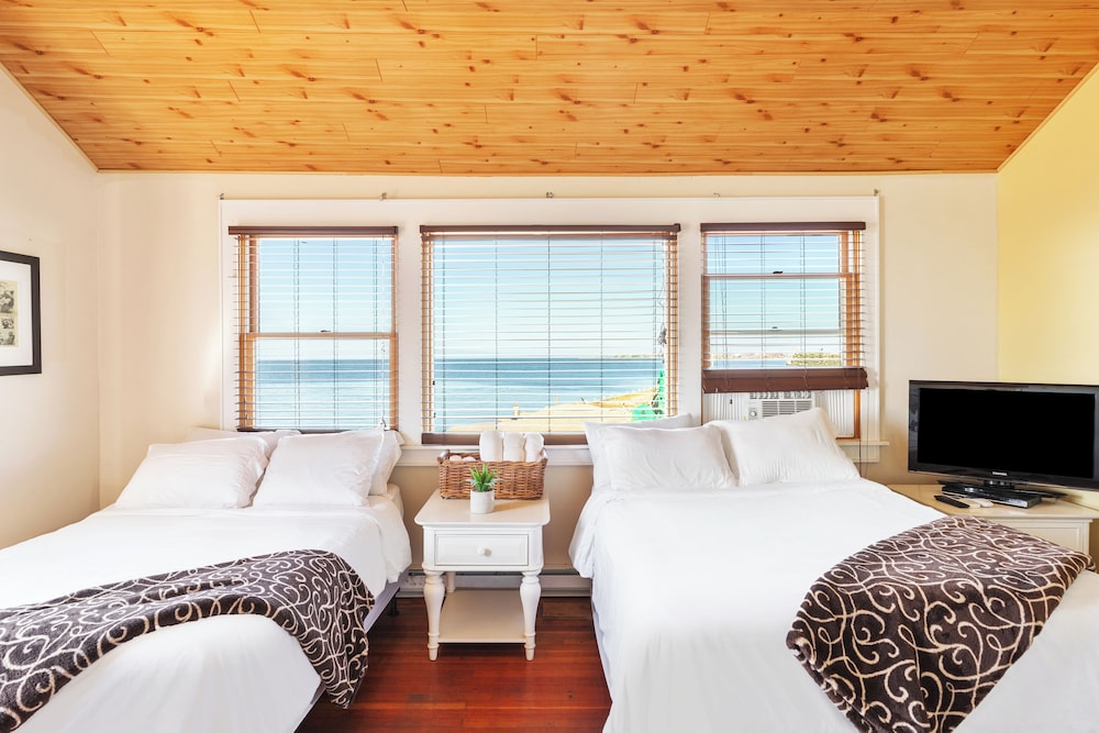 Tropical Suite photo 1