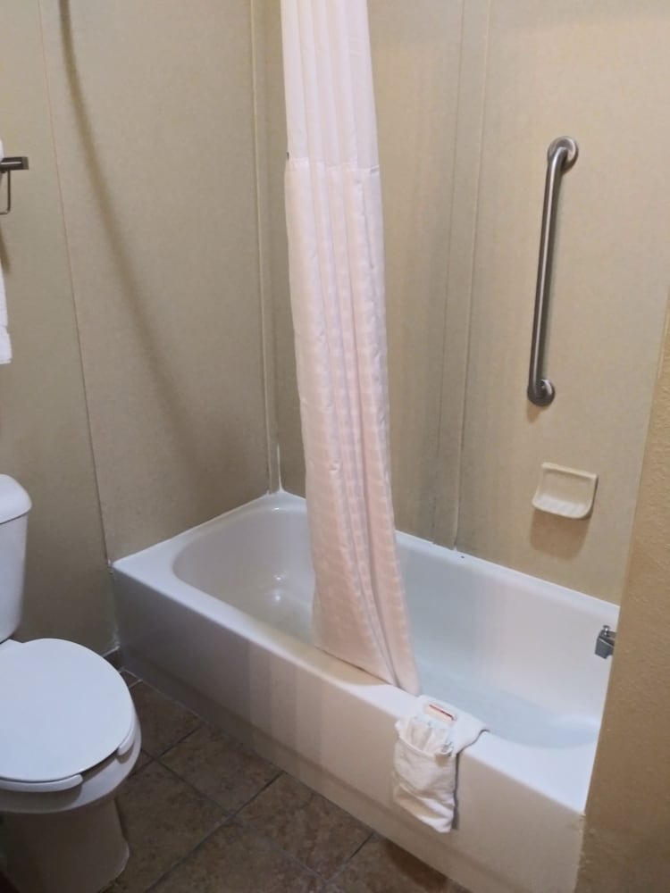 Suite, 1 Bedroom - Photo 3
