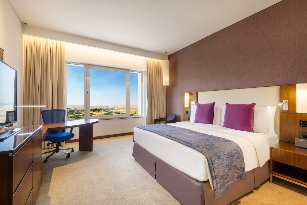 Standard Room, 1 King Bed, Accessible photo 3