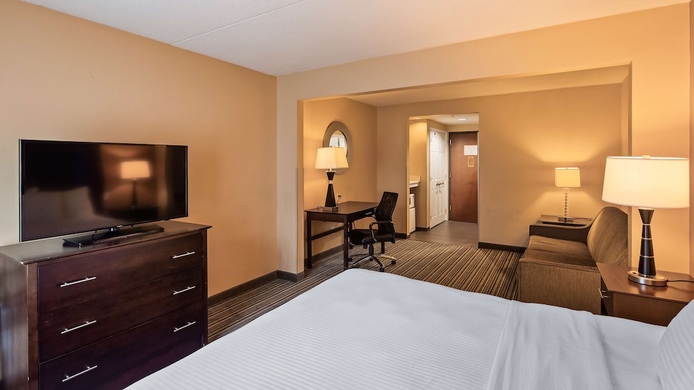 Suite, 1 King Bed, Non Smoking, Refrigerator & Microwave (With Sofabed)